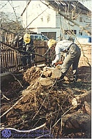 Aufräumarbeiten nach dem Orkantief Wiebke Anfang 1990.
